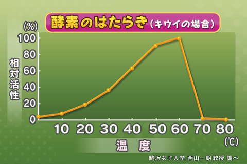 酵素のはたらき