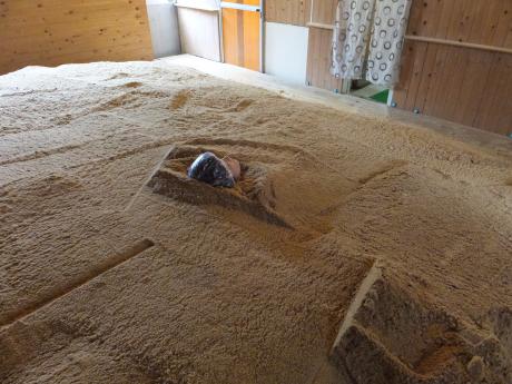 首だけ出た図