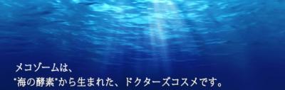 メコゾームロゴ