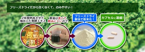 植物生まれの酵素